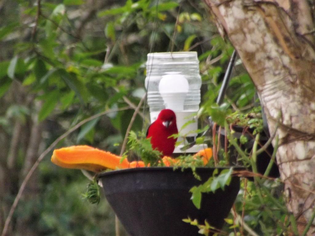 Pousada Miracolo Paraty Bagian luar foto